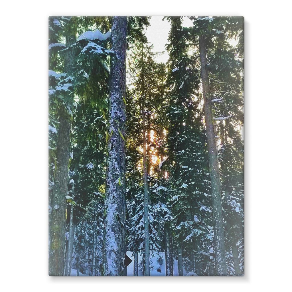 TreeSet Stretched Canvas