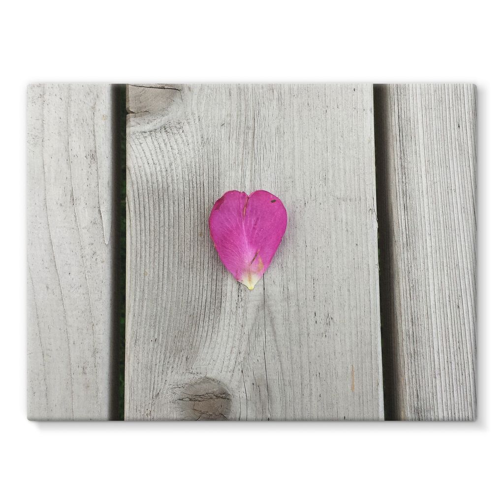 Petal Heart: Stretched Canvas