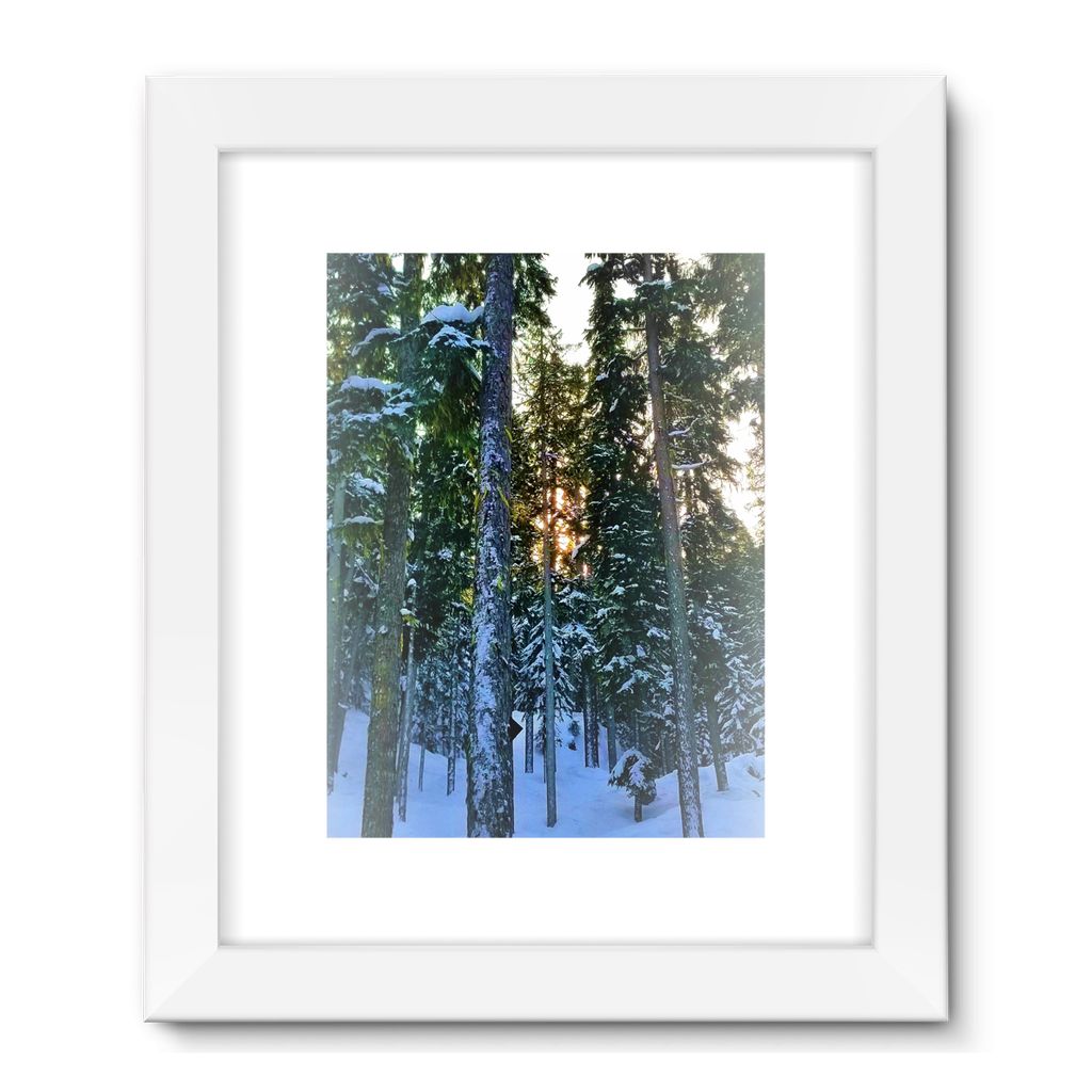 TreeSet Framed Fine Art Print