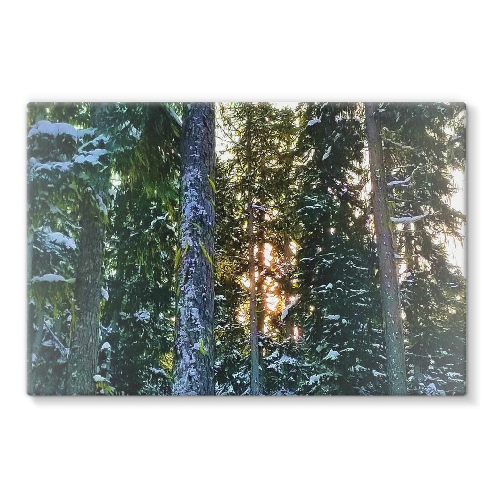 TreeSet Stretched Canvas