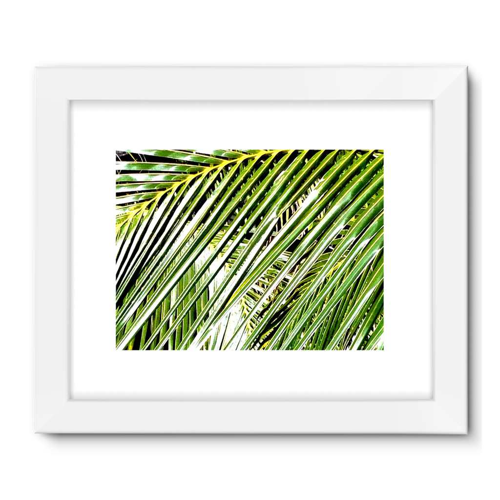 Filtered Palm: Framed Fine Art Print