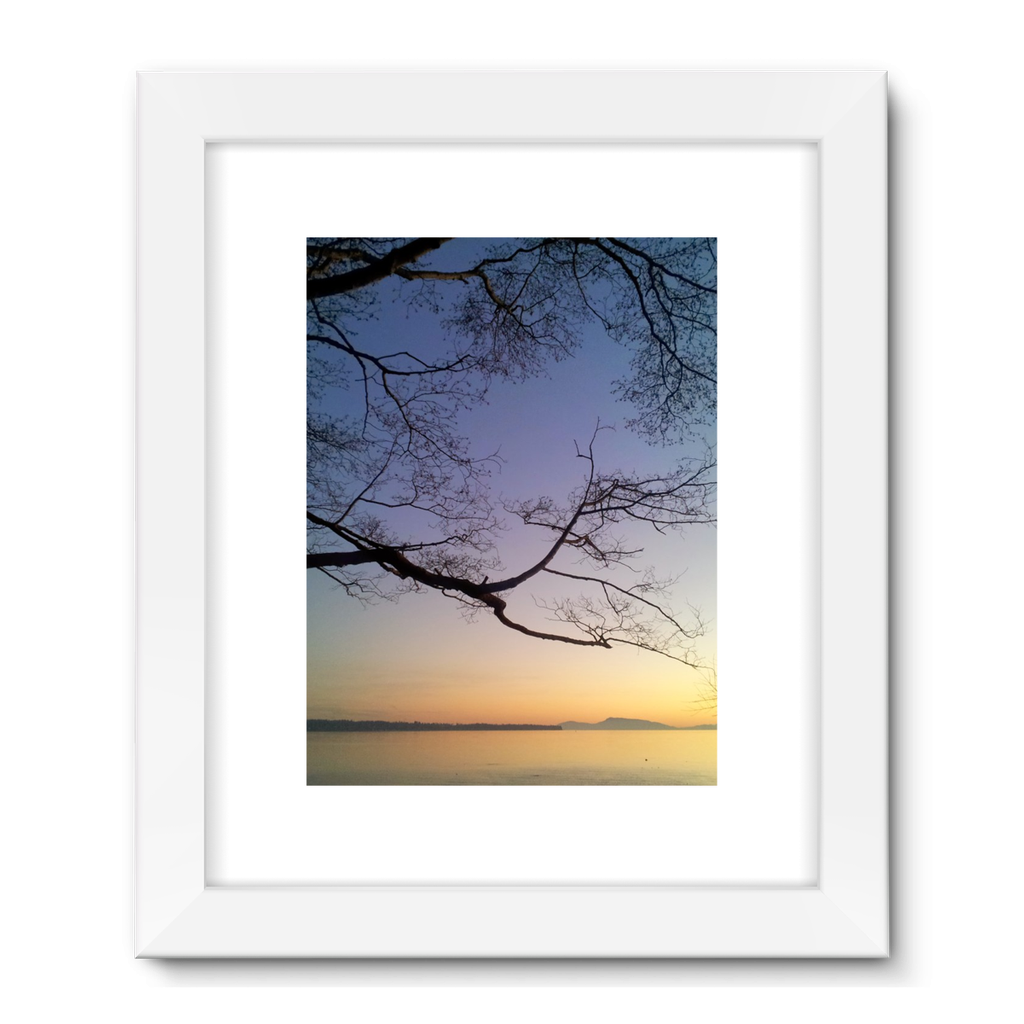 Sea Tree: Framed Fine Art Print