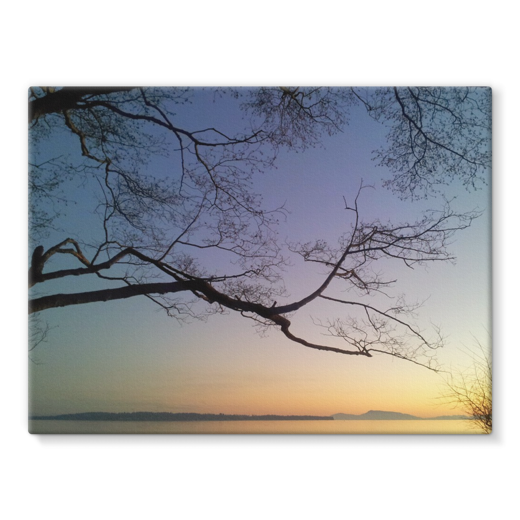 Sea Tree: Stretched Canvas
