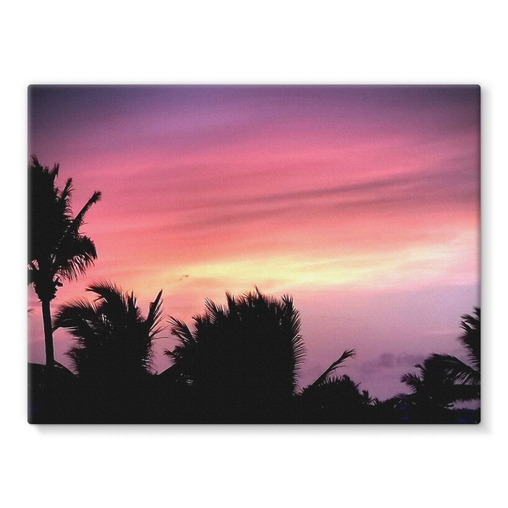 Sunset Palm Stretched Canvas