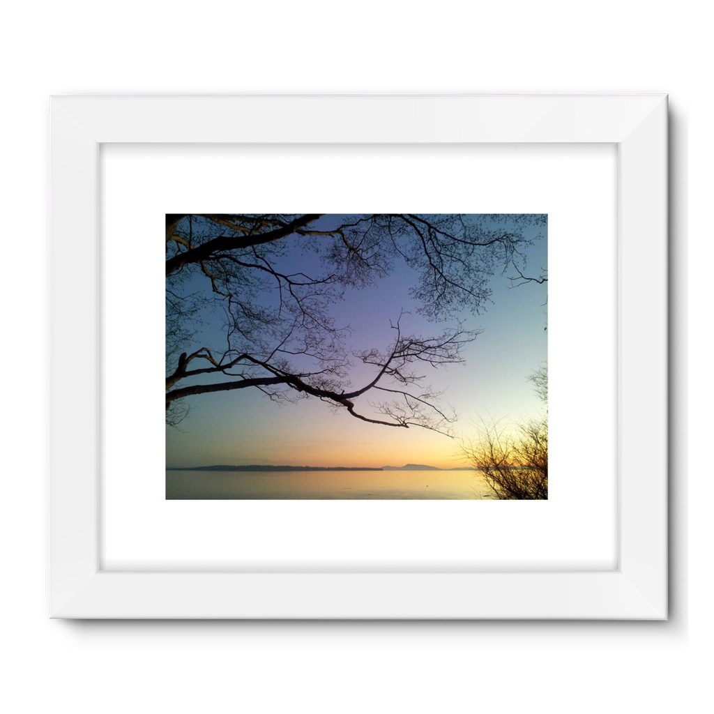 Sea Tree: Framed Fine Art Print