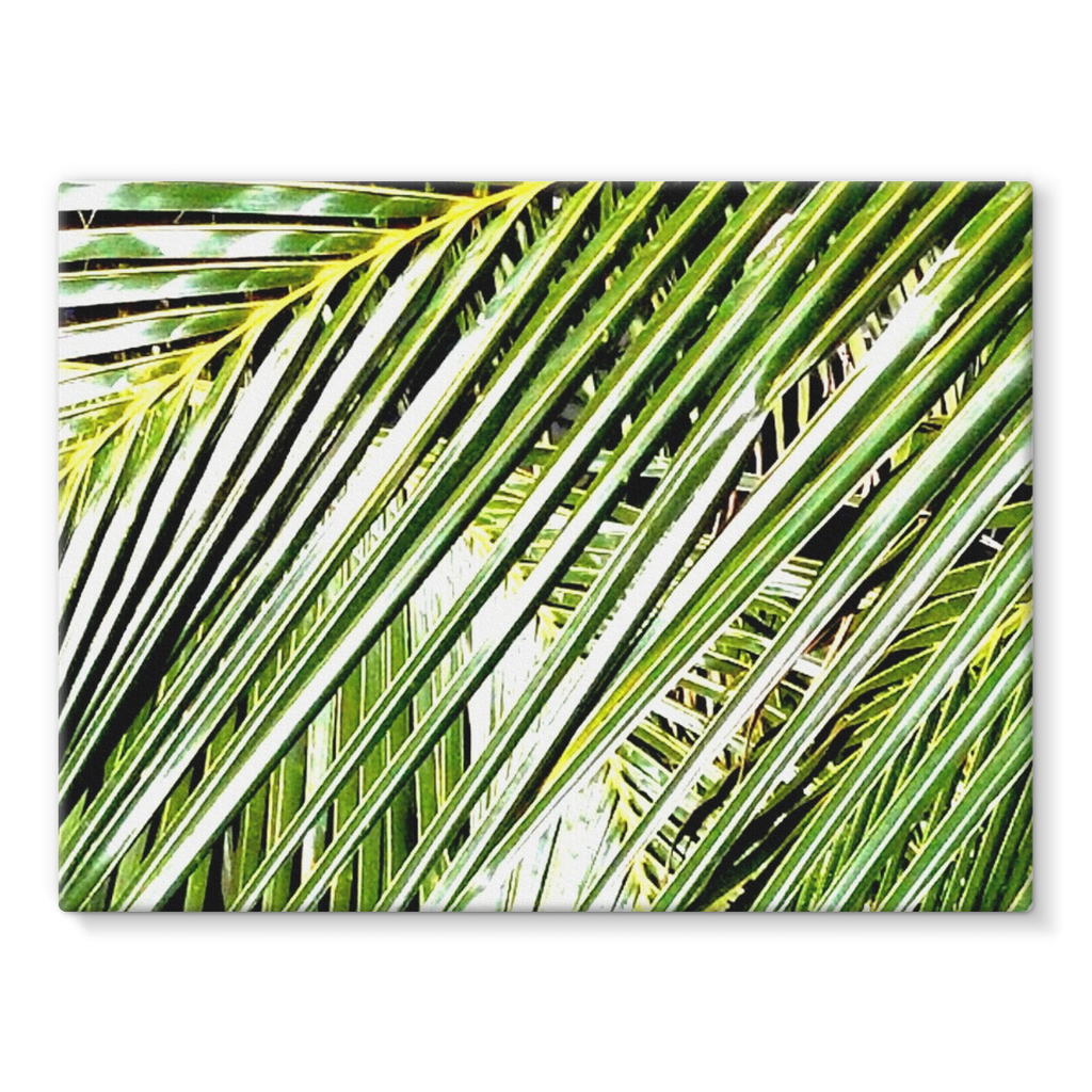 Filtered Palm: Stretched Canvas