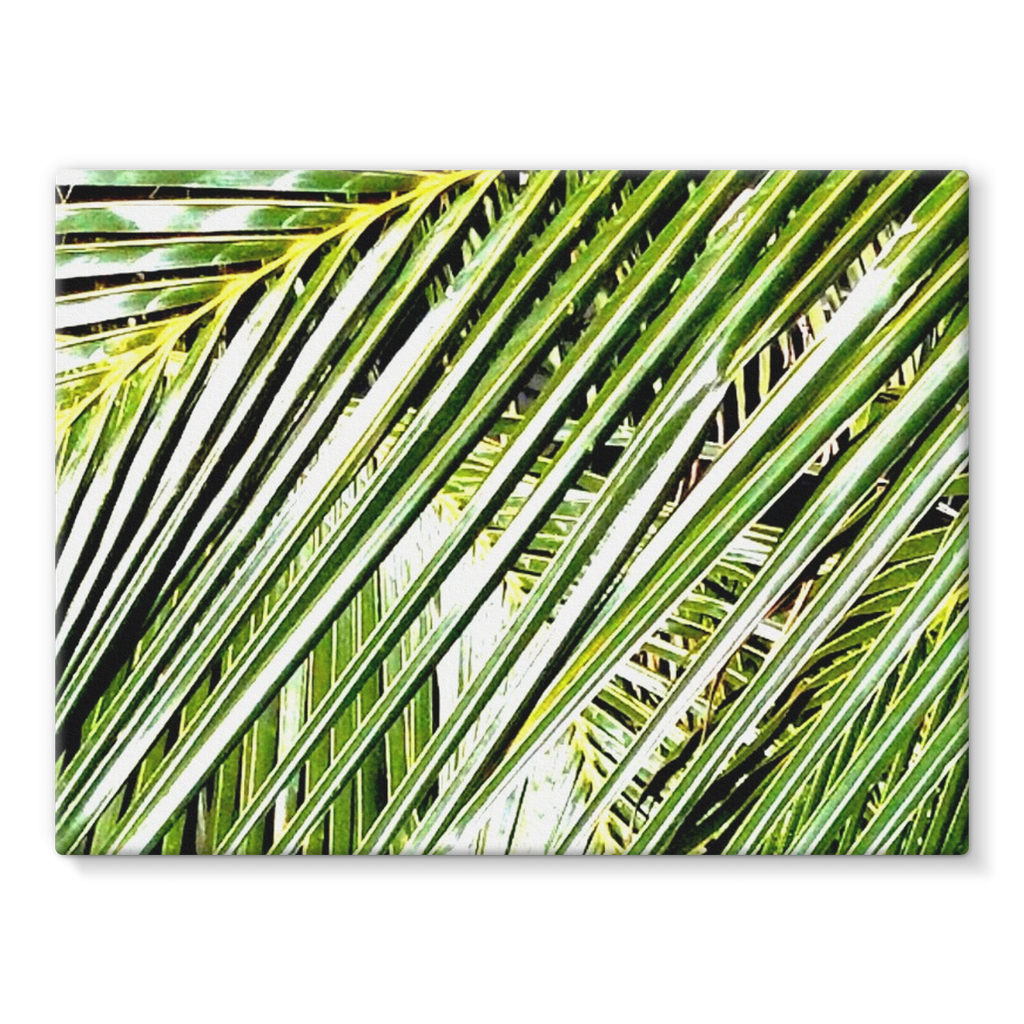 Filtered Palm: Stretched Canvas